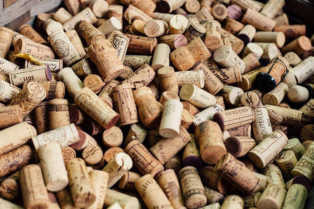 Domaine Du Revermont - Logis Hotel Passenans Ανέσεις φωτογραφία